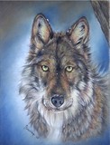 by Geraldine Simmons