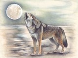 by Geraldine Simmons