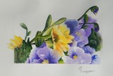 by Dianne Nungesser