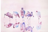 by Susan Semenick
