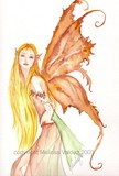 by Melissa Franklin
