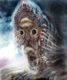 by Andrew Kuczynski