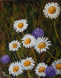 by Tami Booher