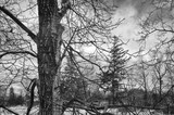 by Tracy Butland Bartczak
