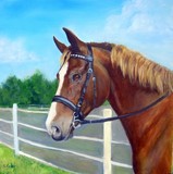 by Sharon Coyle