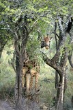 by Diponkar Banerjee