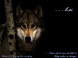 by Kasha Moray