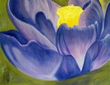 by Diane  Jorstad