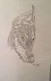 by Amanda Friesen