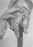 by Naveed Ahmed
