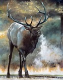 by Mike Worthen