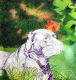 by Jennifer Herlihy