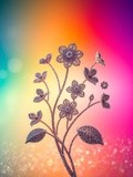 by Mihaela B