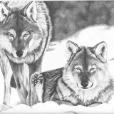 by Jack Boyle