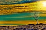 by Alexander Leo