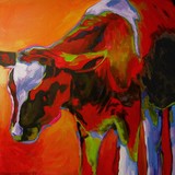by connie van winssen