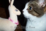 by Ariel Aurora Dawn