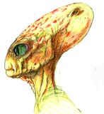 by Gene Guilmette