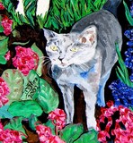 by Nira Dabush