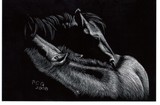 by Trish Gename