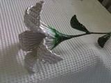 by aya charity alforque alfeche