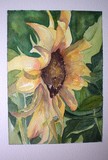 by paulette rygiel