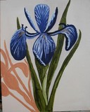 by Gail Nordlof