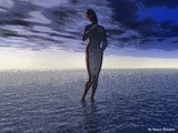 by stacey denman