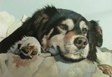 by Belinda Matthews