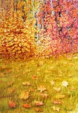 by Mirsad Mehulic