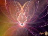 by Thunder 7