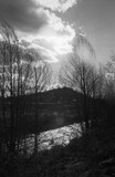 by Sara K