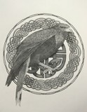 by lupe rodriguez