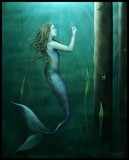 by Susan McKivergan
