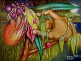 by  Drew