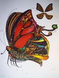 by Kevin Collier