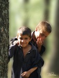 by tehreem hasan