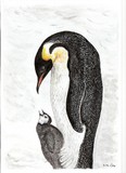 by Liz Robinson