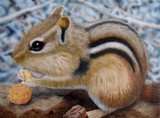 by Kathie Miller