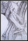 by Rafael Marrón