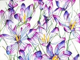 by Mary-Anna Welch