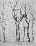 by David Gharibashvili