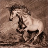by paula dudzik