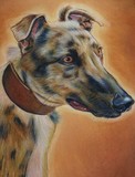 by Adele  Beverley