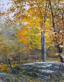 by Susan Kennedy