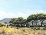 by Bill Wiggan