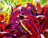 by usha shantharam