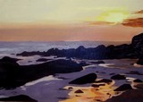 by robert minchin