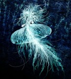 by Annika Nilsen