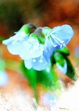 by Bill M